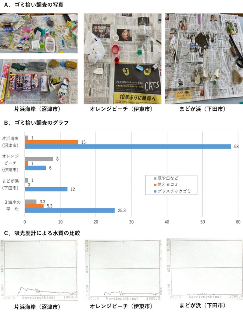 図１．私たちの調査結果
Ａ．ゴミ拾いは2024年８月実施。Ｂ．グラフは個数を示した。Ｃ．背景補正に3.5％のNaCl水溶液を使用。