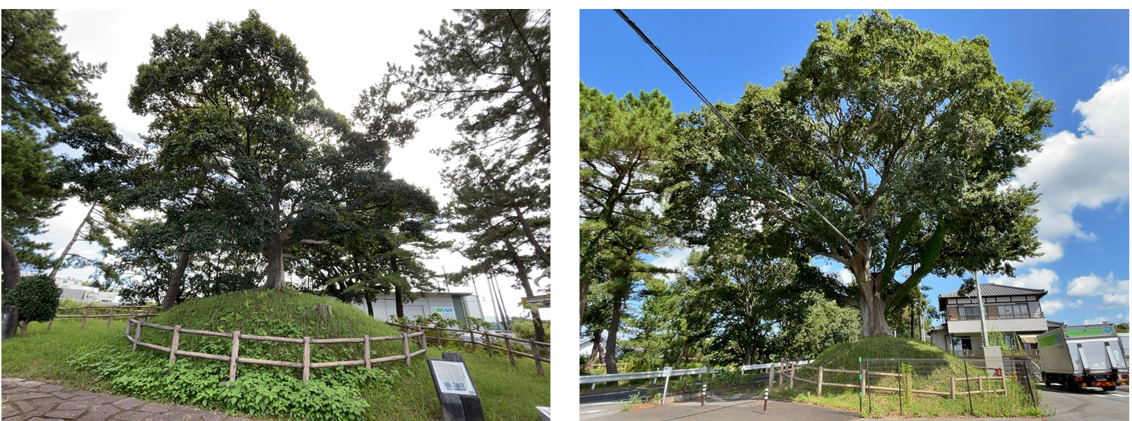 図２．国道一号線をはさんで北（左写真）と南（右写真）の錦田一里塚