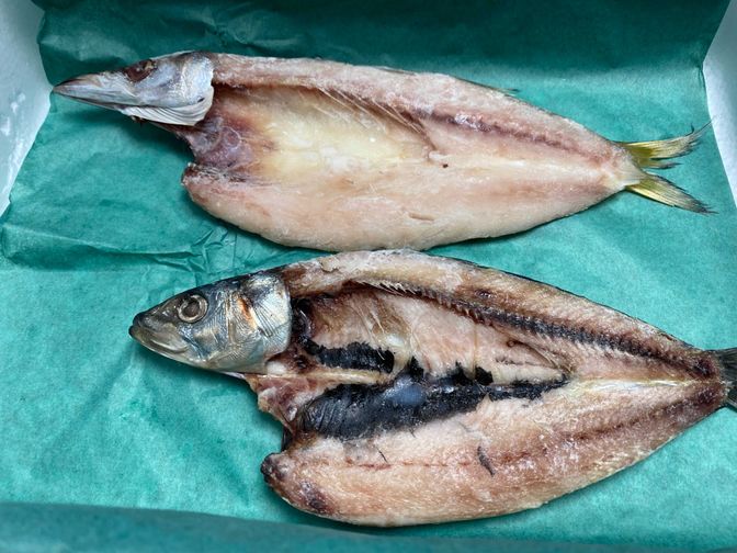 (写真上)カマス、(写真下)イワシ