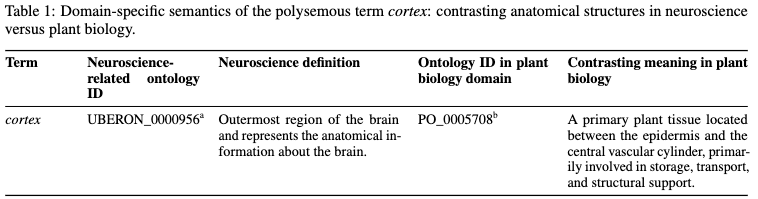 多義語 "Cortex" の例。オントロジーによるグラウンディングの重要性を示す