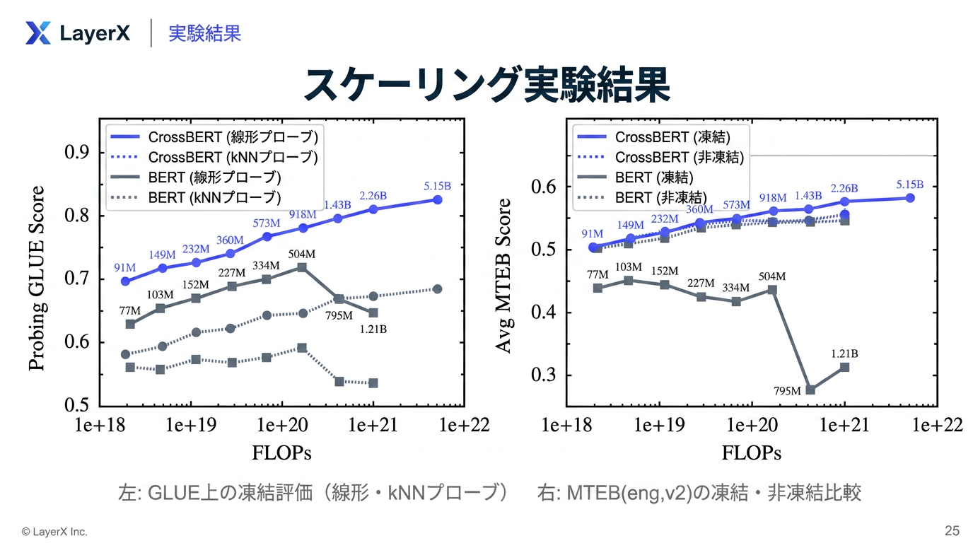スケーリング実験結果（左: GLUE凍結プロービング / 右: MTEBの凍結・非凍結）