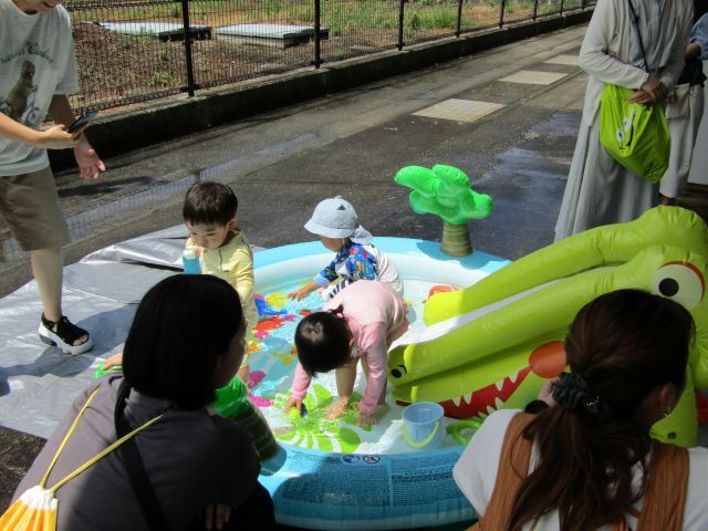 寒くなったので少し日なたぼっこ