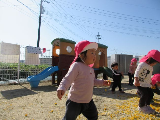 花びらを集めるのも楽しかったです!(^^)!
