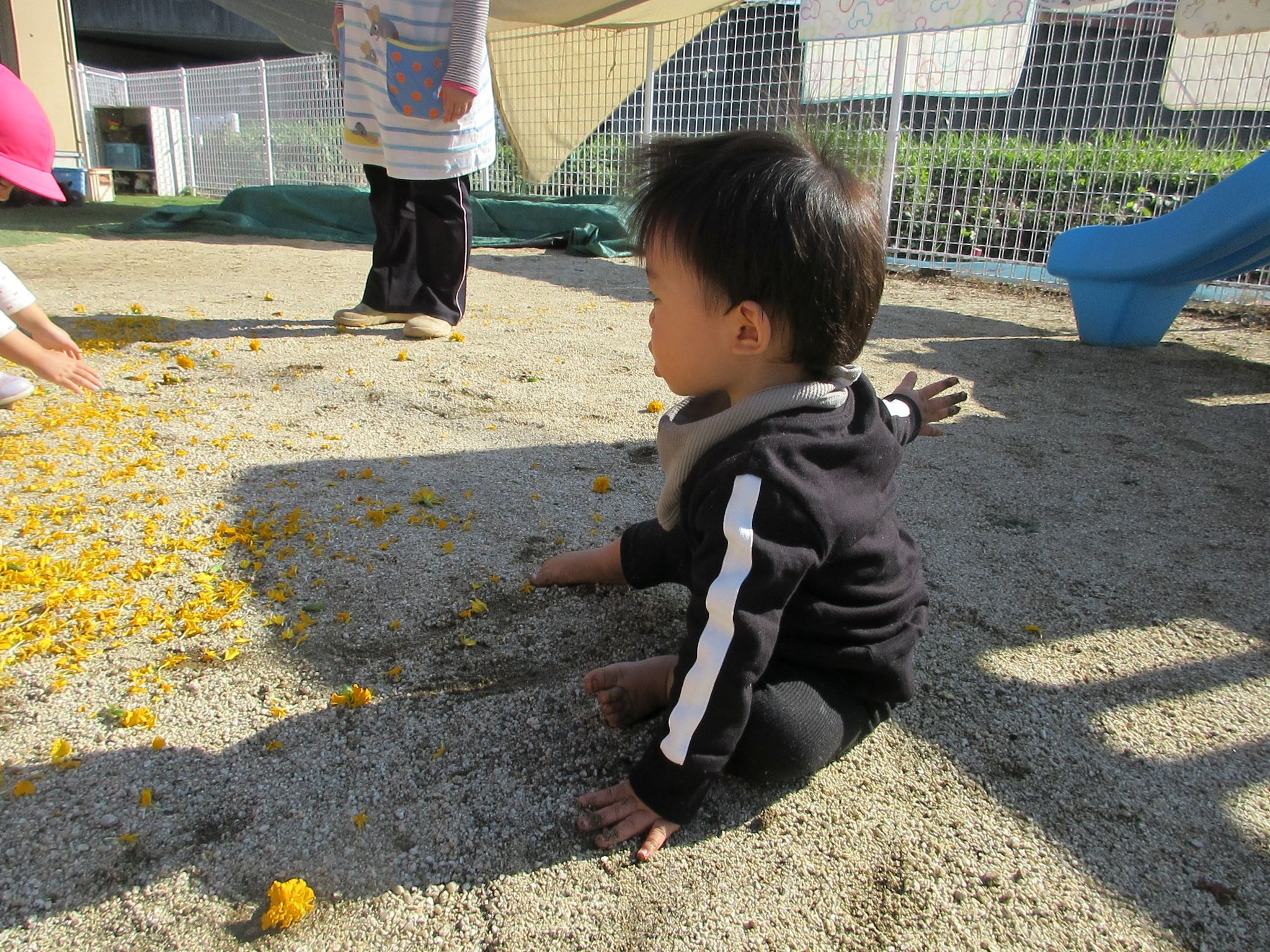 花びらを集めるのも楽しかったです!(^^)!