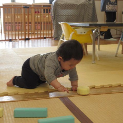 玩具を見つけて触りに行っていました(#^.^#)