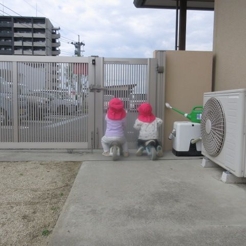 2人で何見てるの？