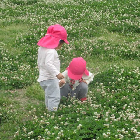 「ぶ～んぶ～んいる～きゃーきゃー♪」と、ミツバチに盛り上がる二人