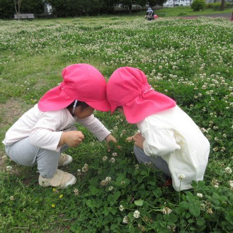 「これこれこれ」、てんとう虫いるよと教えてくれました。