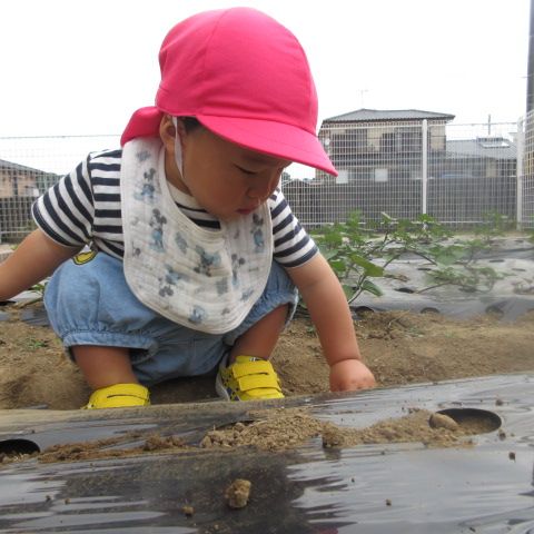 お布団かけてね～と、土をかけて・・・。