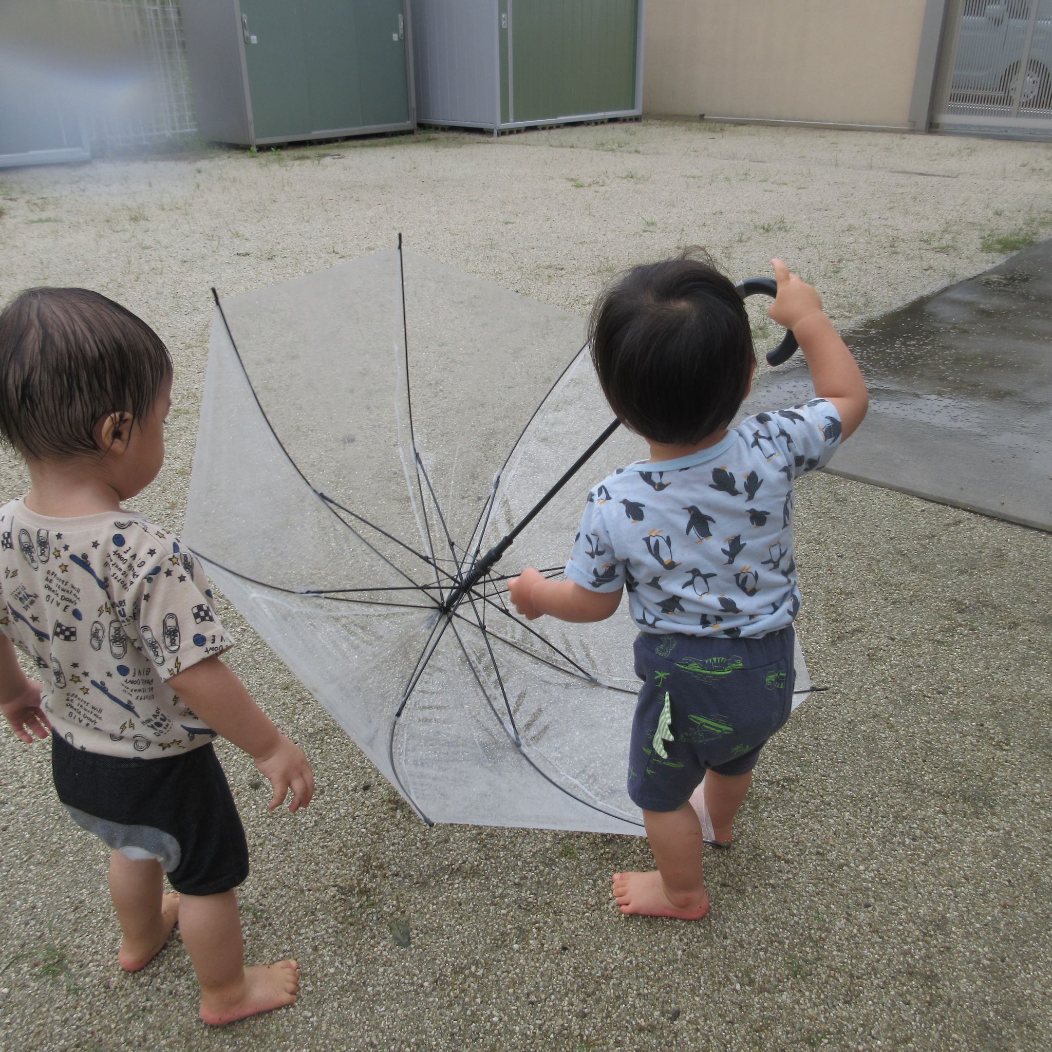 傘をさしてみたい・・・😊