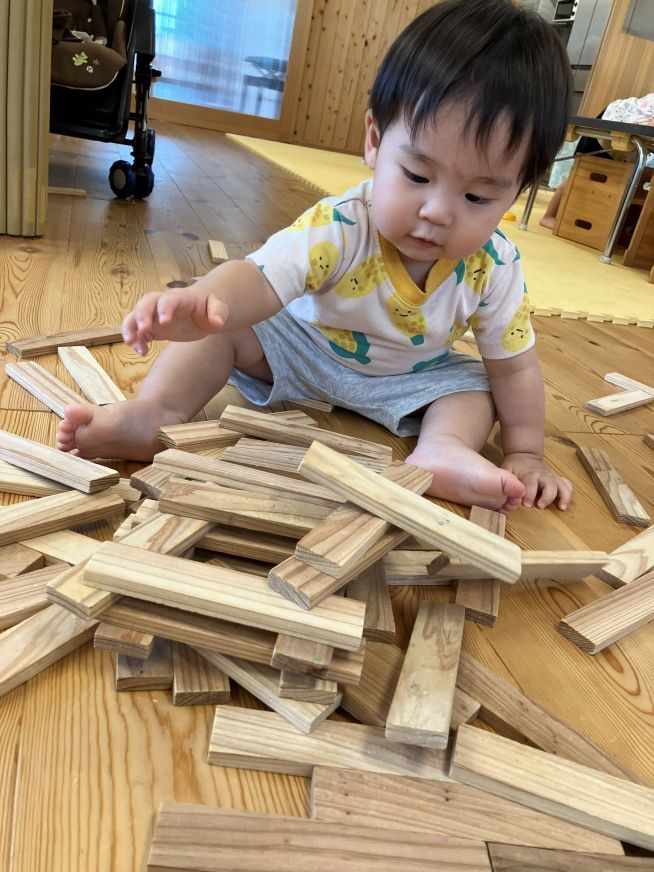 カプラで遊んだよ