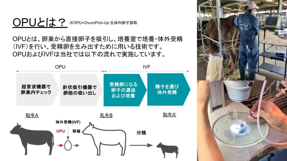 営業資料例③