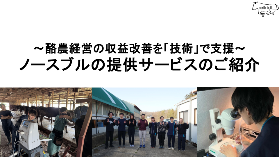 営業資料例①