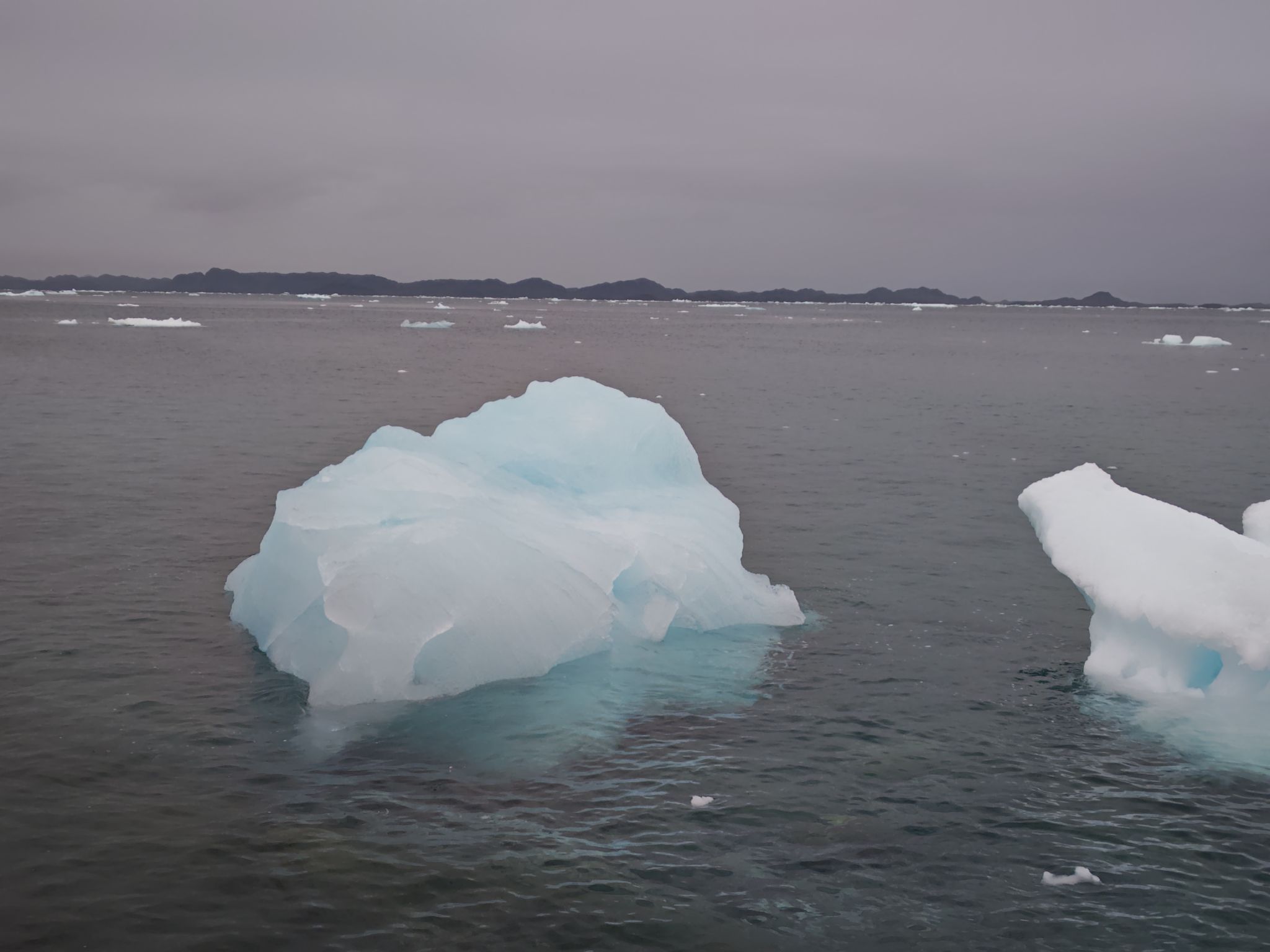 「氷のガバナンス」をテーマとしただけに、海に浮かぶ氷が気になり、何枚も写真を撮っていました。数が増えたり、急になくなったり、氷を見ているだけで日々の天候の変化を感じます。
