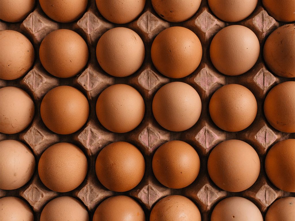 物価の優等生といわれる卵だが鳥インフルエンザまん延や飼料価格高騰により岐路に立たされている