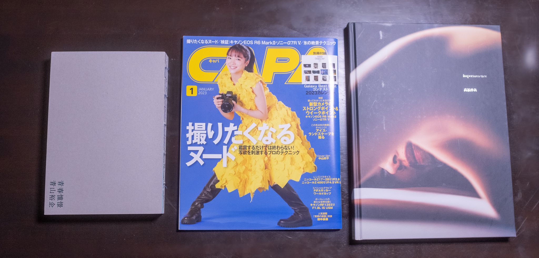 実績の紹介 - 青山祐企先生の写真集への出演、雑誌「CAPA」巻頭特集の見出しページに掲載、高橋伸哉先生の写真集に出演
