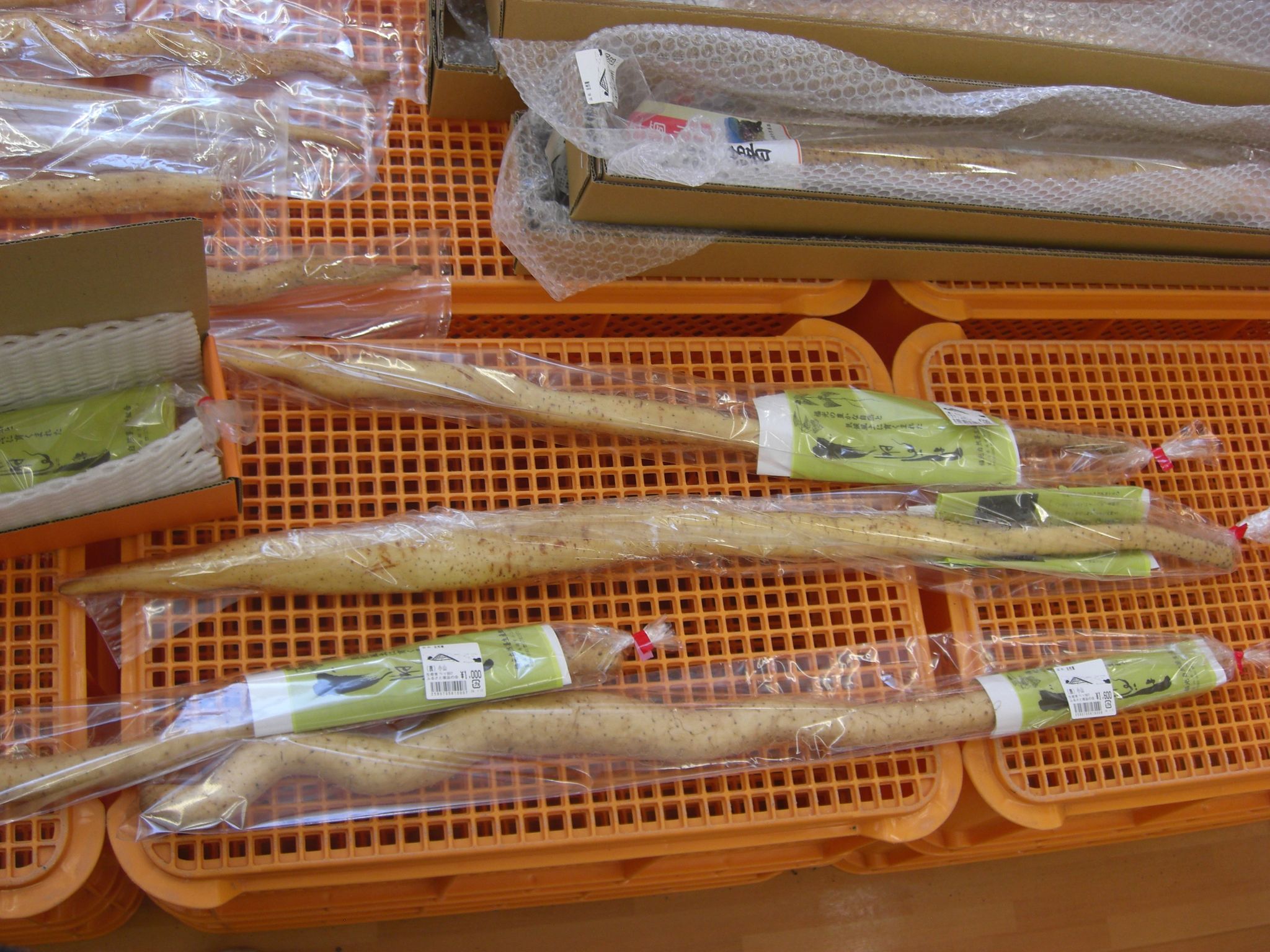 参照元：Wikipedia