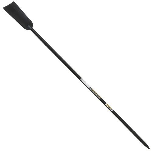 参照元：https://item.rakuten.co.jp/kaientai-2/fujiwara-682428/