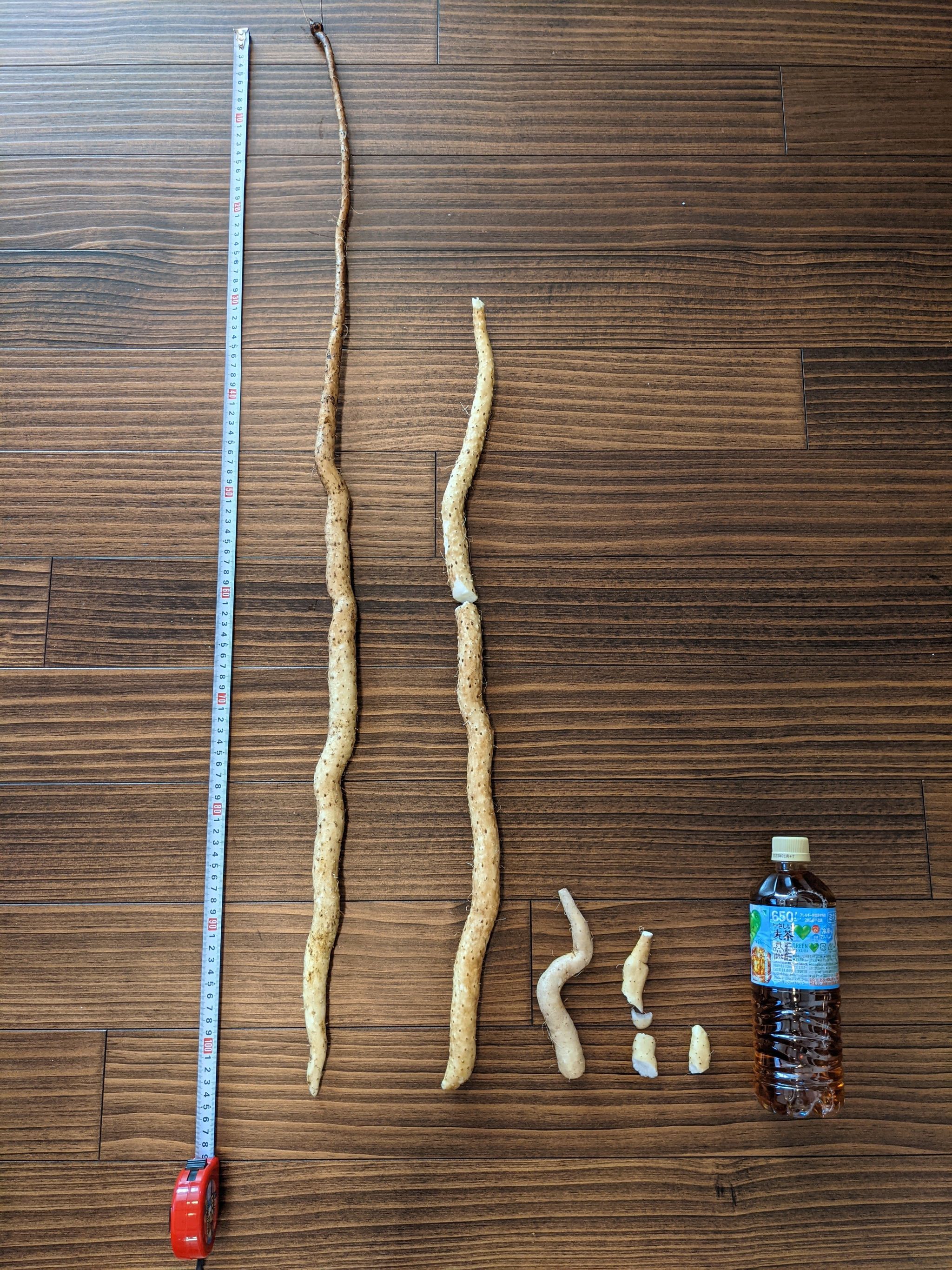 ペットボトルと比較して