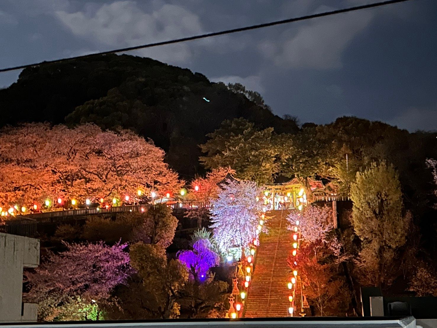 諏訪神社では、4月中旬まで(18時-22時)提灯点灯と桜のライトアップを行っています。スマホやカメラで撮影してもきれいですので、ぜひご参拝においでてください。