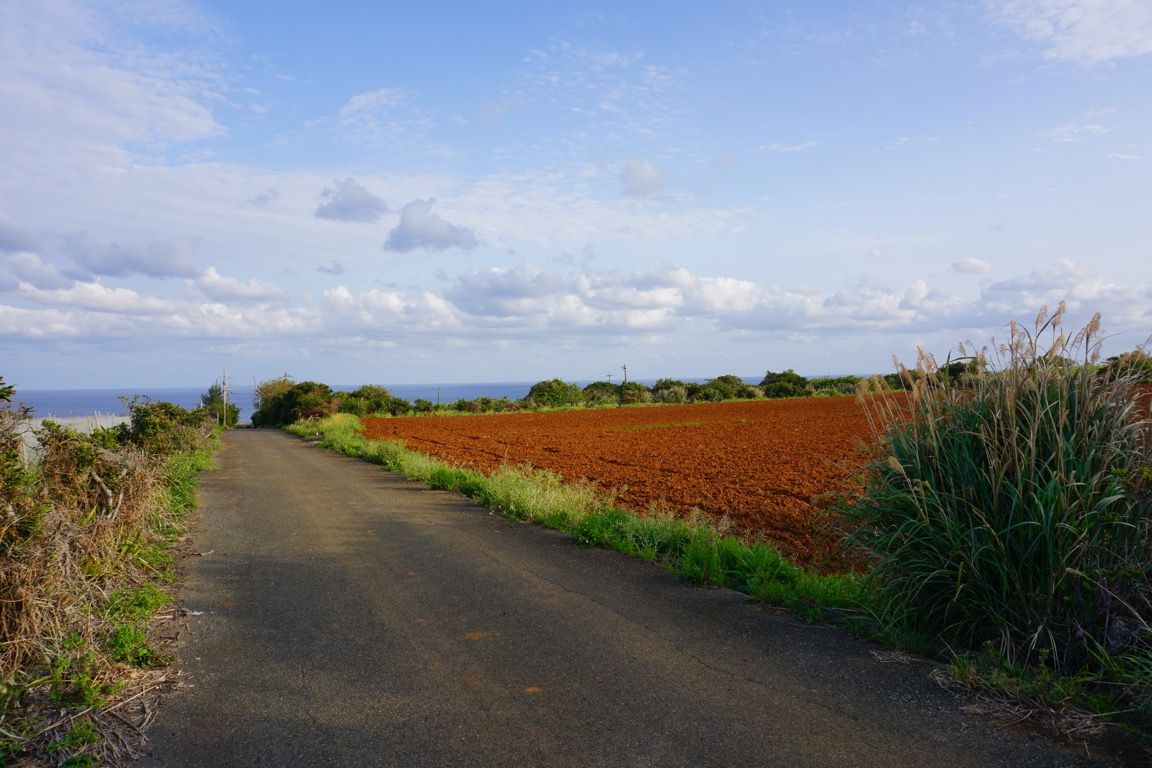 1日目沖永良部島の徒歩の道中にて