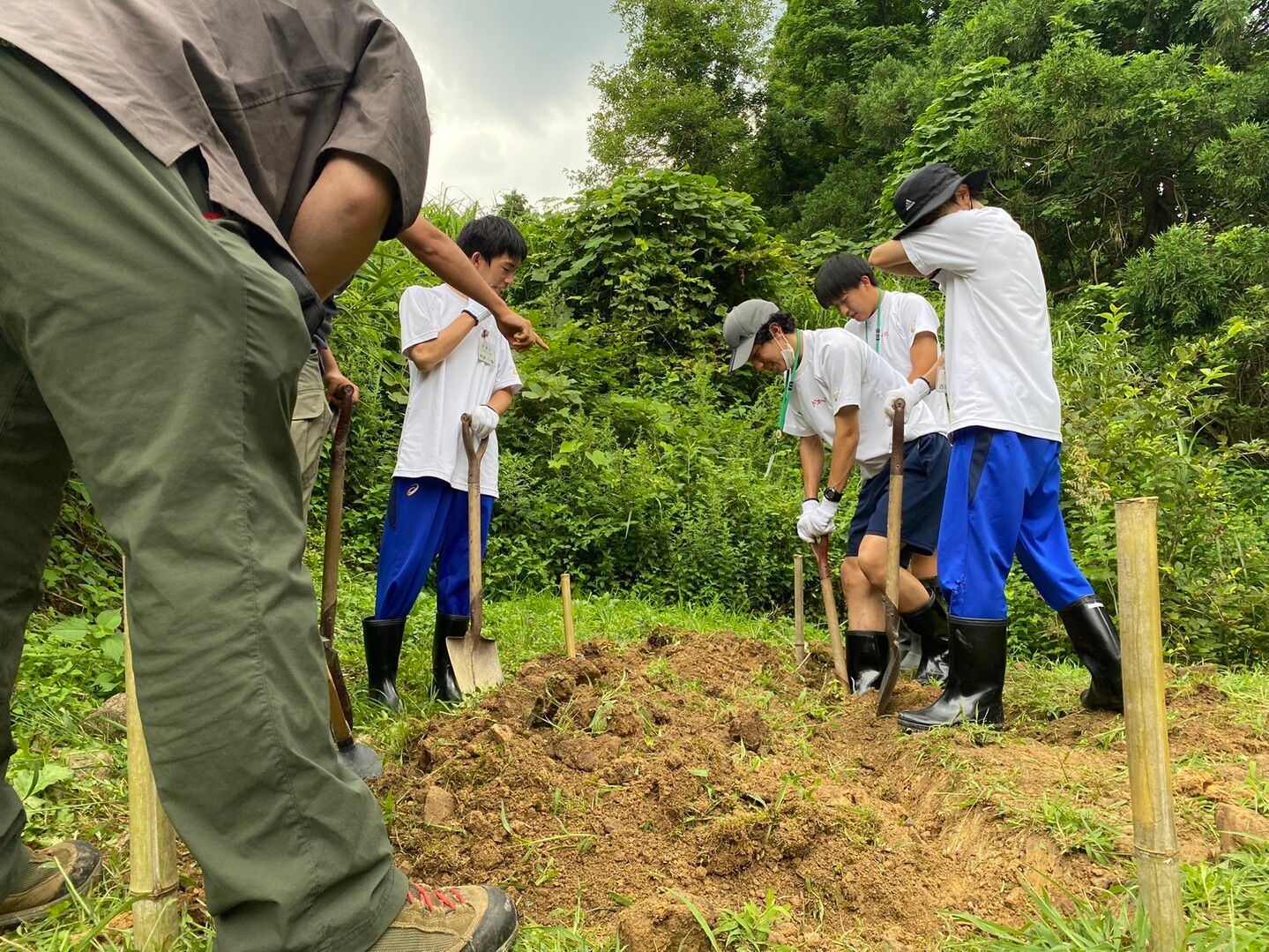 シャベルを使い、植樹予定地の土壌をほぐす上市町の高校生たち。