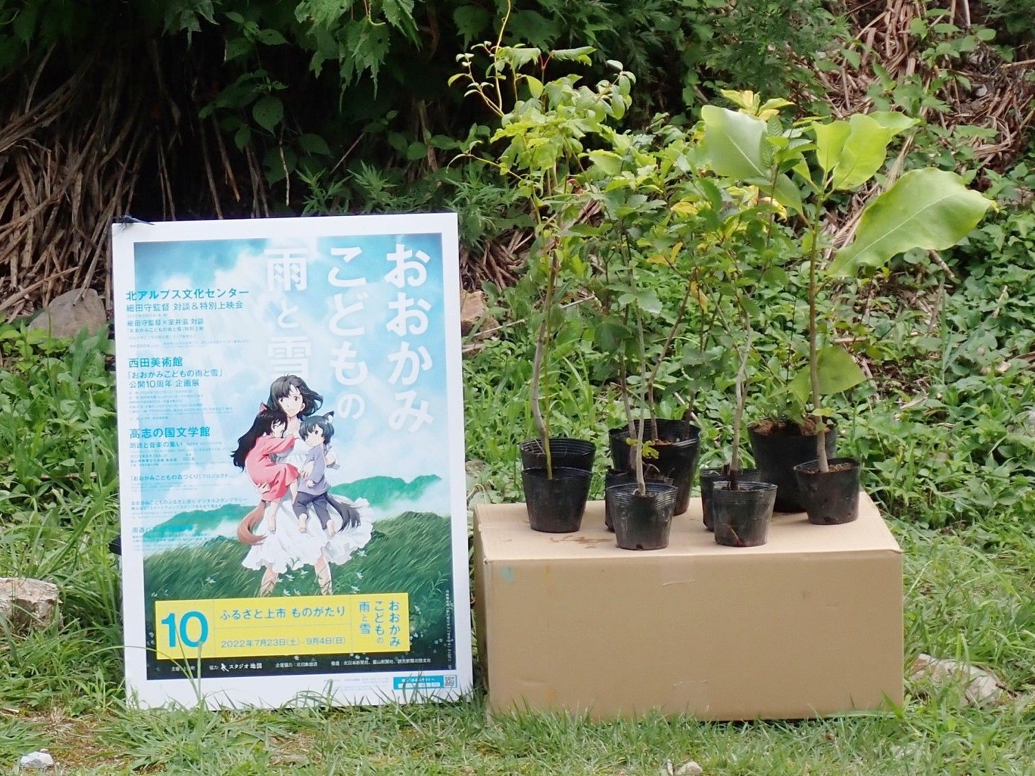 今回の記念植樹イベントでは、ブナ2本、ミズナラ2本、ホオノキ1本、ハウチワカエデ1本、ムラサキシキブ1本、クロモジ1本、ノリウツギ1本の7種9本を植樹。