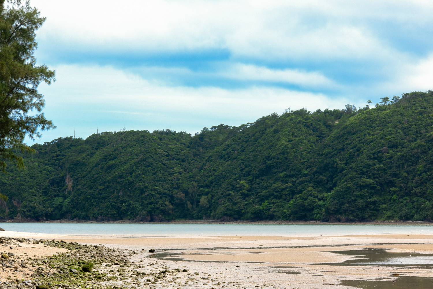 CORAL ISLAND