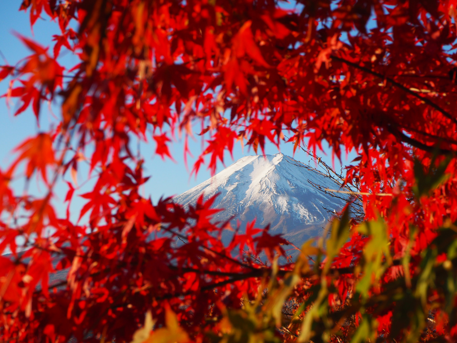 THE TOKI 富士河口湖