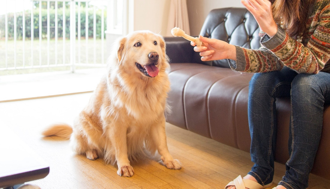 ヴィラージュ伊豆高原