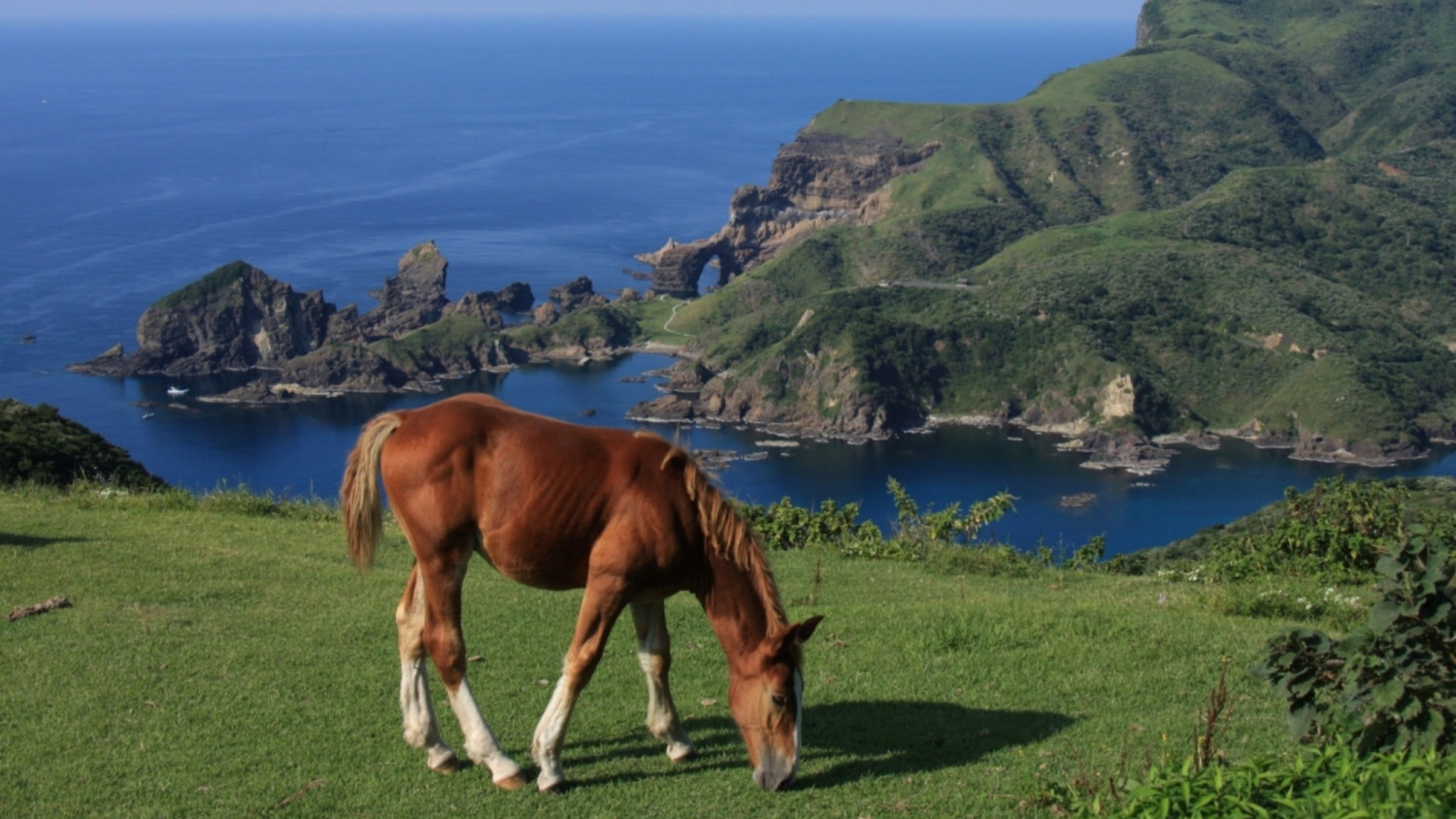 TADAYOI - 海士グランピング