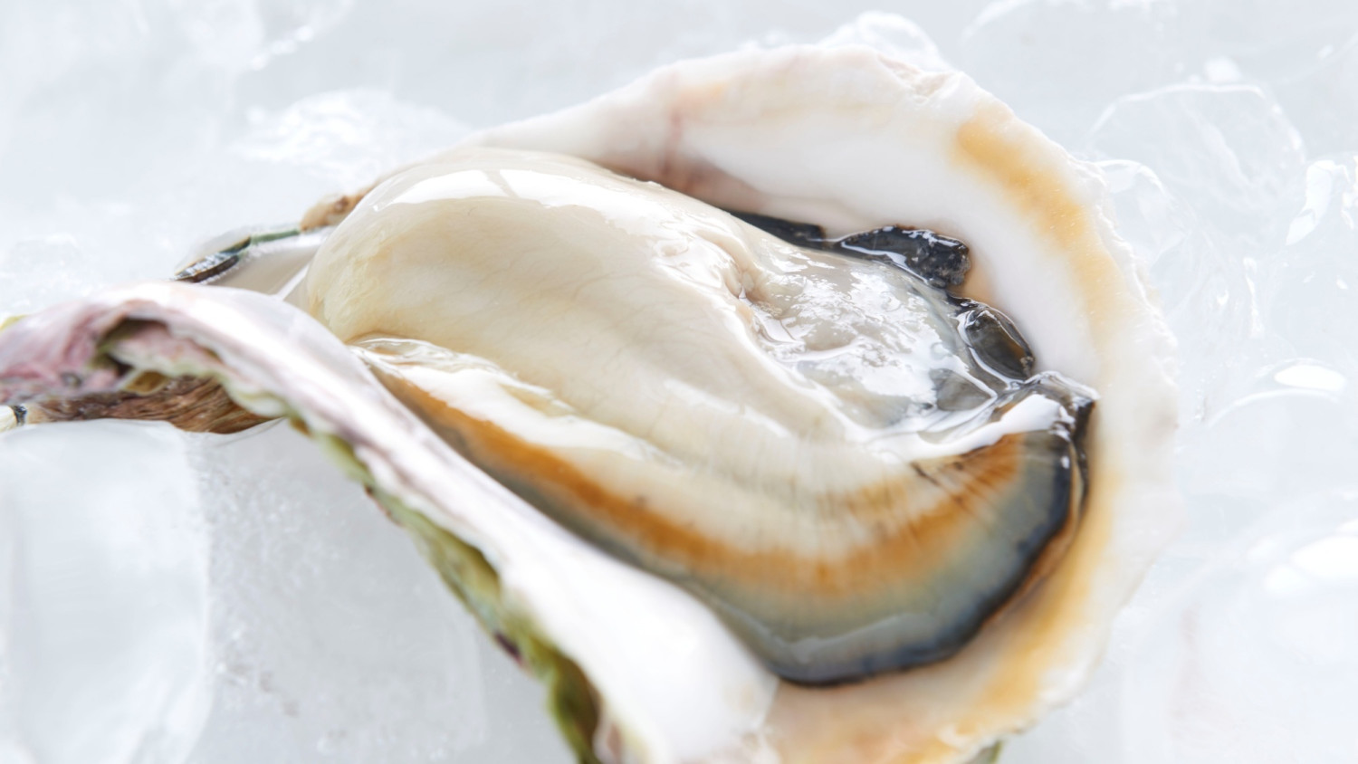 TADAYOI - 海士グランピング