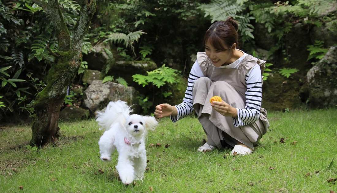 ゆるり箱根withDOGS