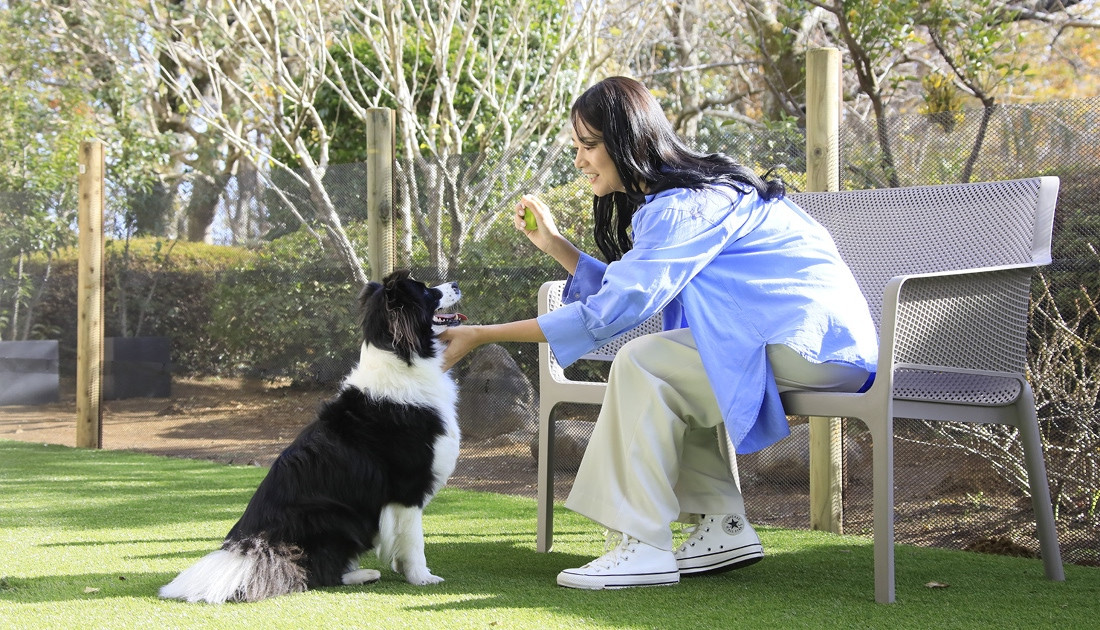 ゆるり熱海withDOGS