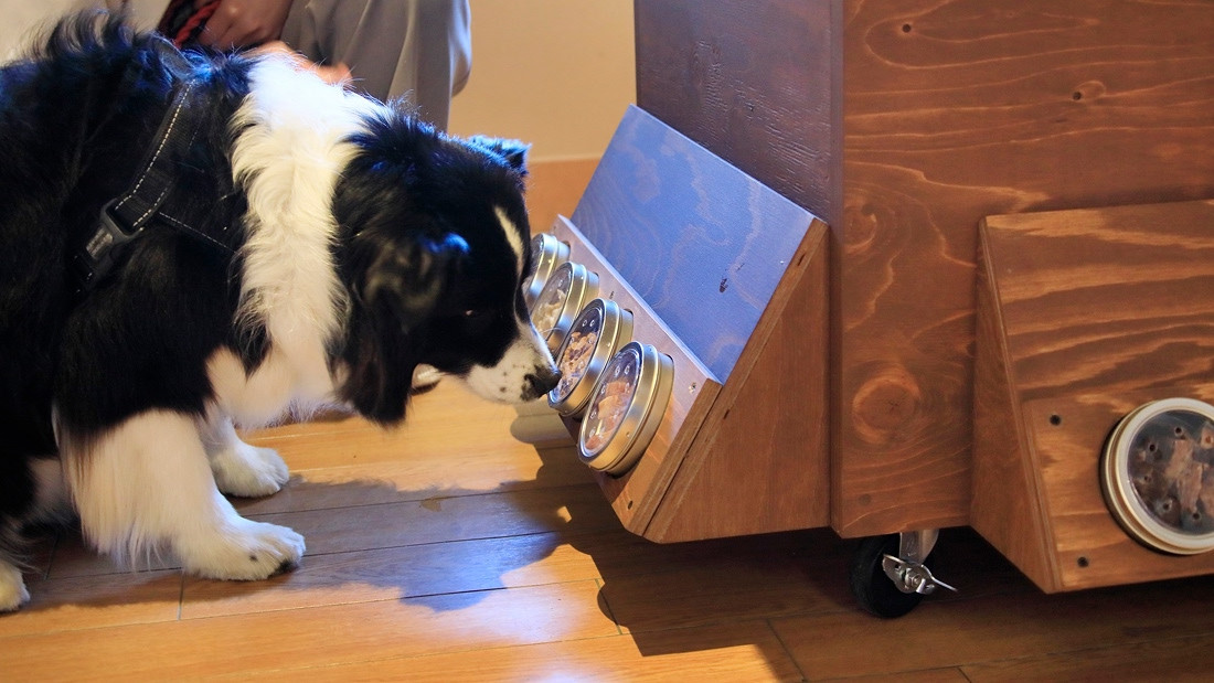 ゆるり奥日光withDOGS