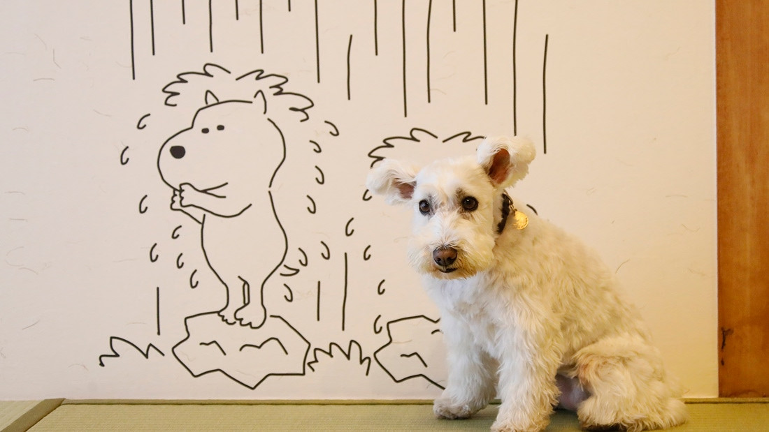 ゆるり奥日光withDOGS