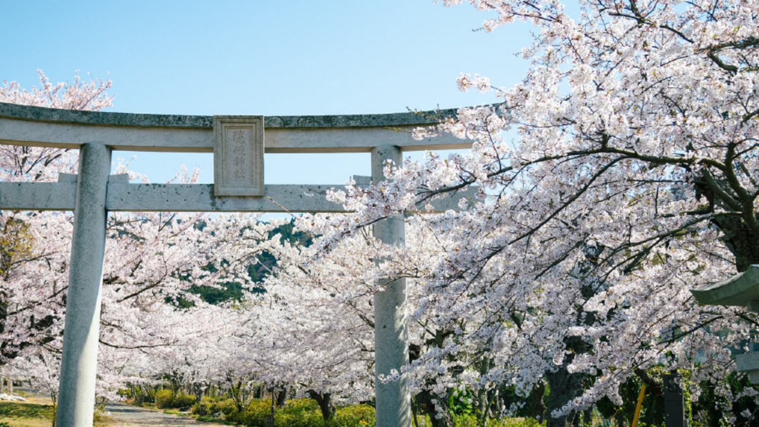 TADAYOI - 海士グランピング