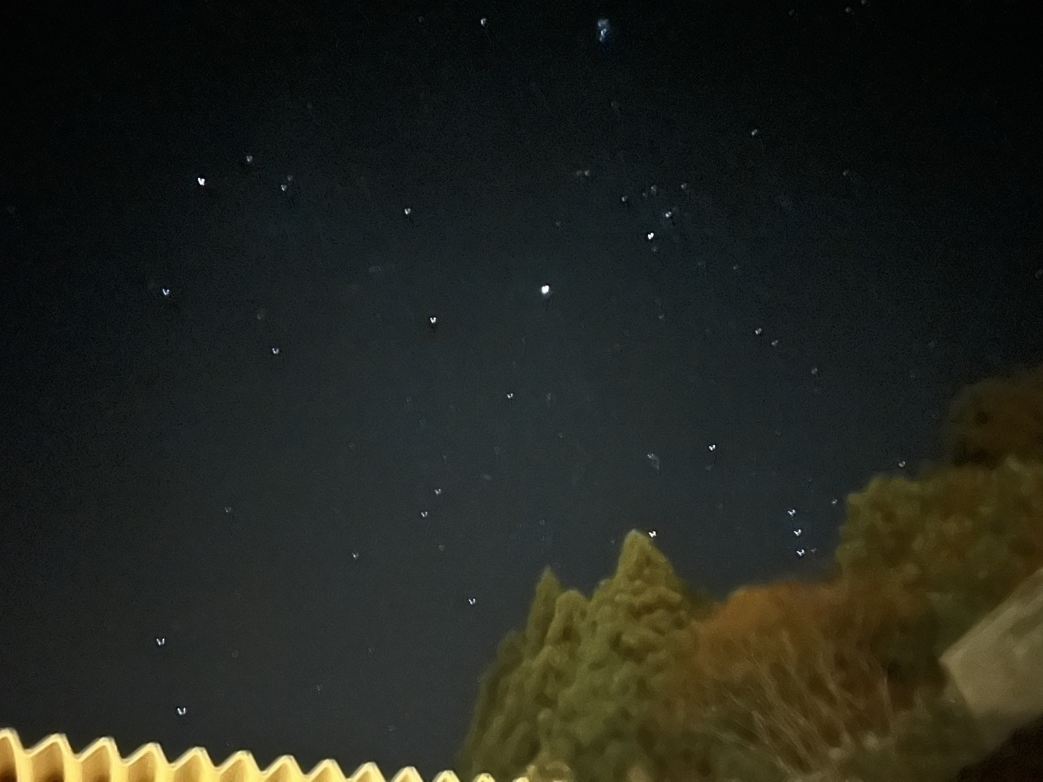 Ｋ＆Ｂ　グランピング　天空の城