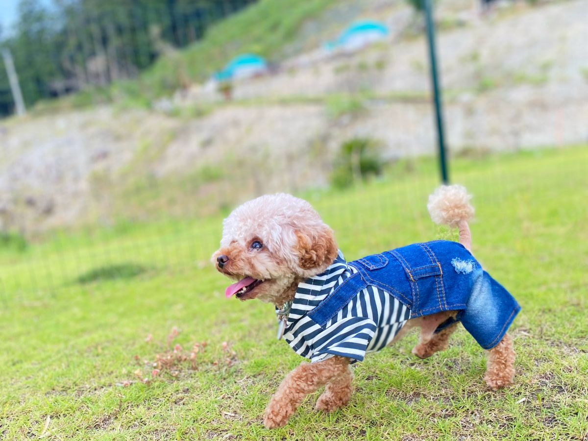 杷木松末アウトドアヴィレッジ