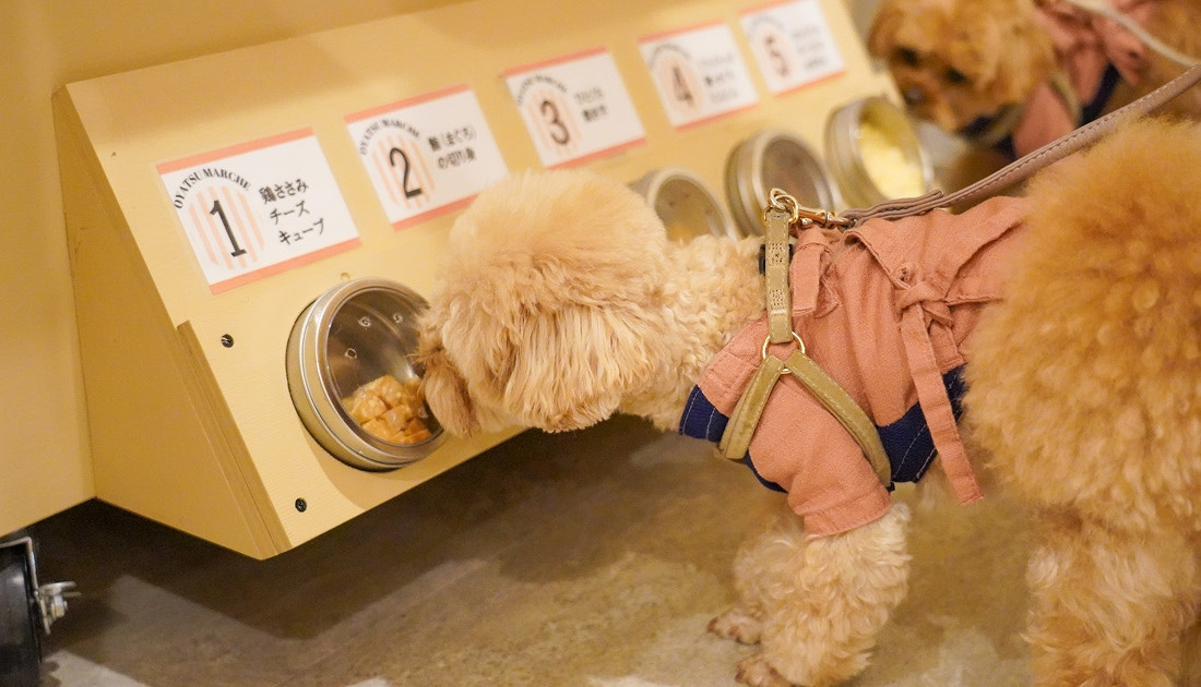 ゆるり箱根withDOGS
