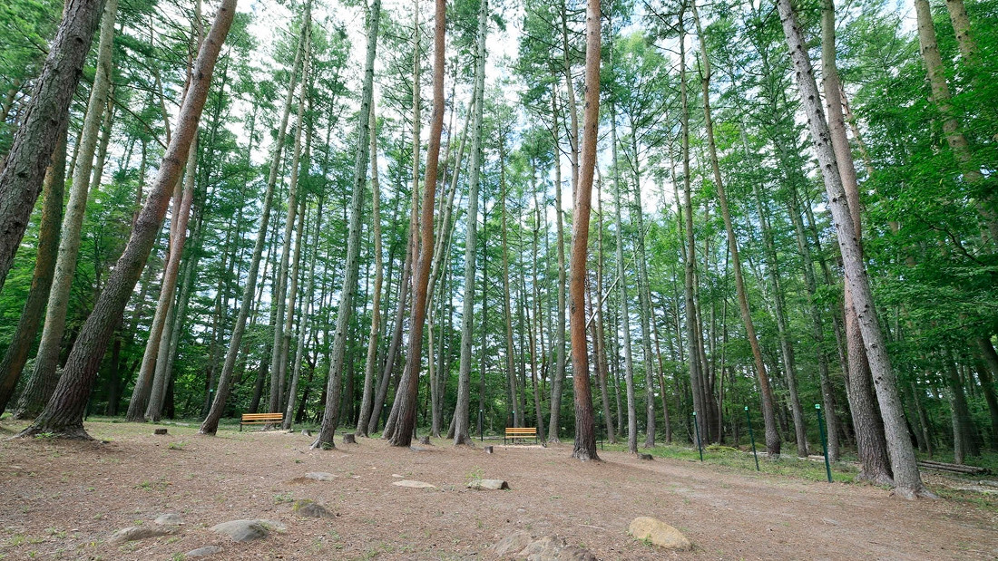 ゆとりろ蓼科ホテルwithDOGS