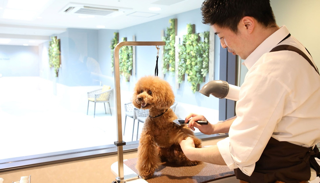 inumo 芝公園 by Villa Fontaine