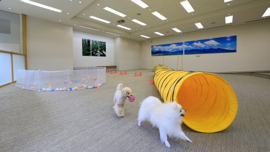 ゆとりろ蓼科ホテルwithDOGS