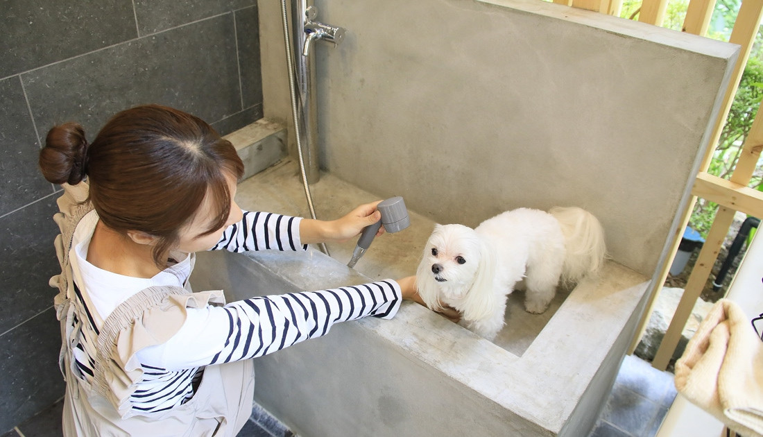 ゆるり箱根withDOGS