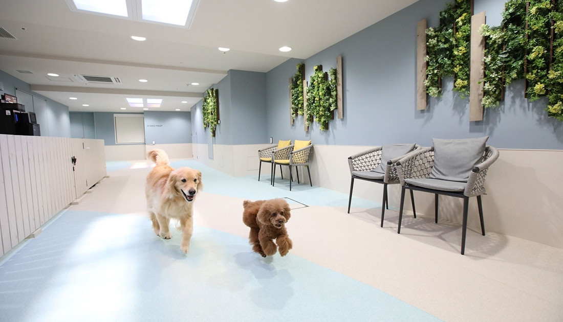 inumo 芝公園 by Villa Fontaine