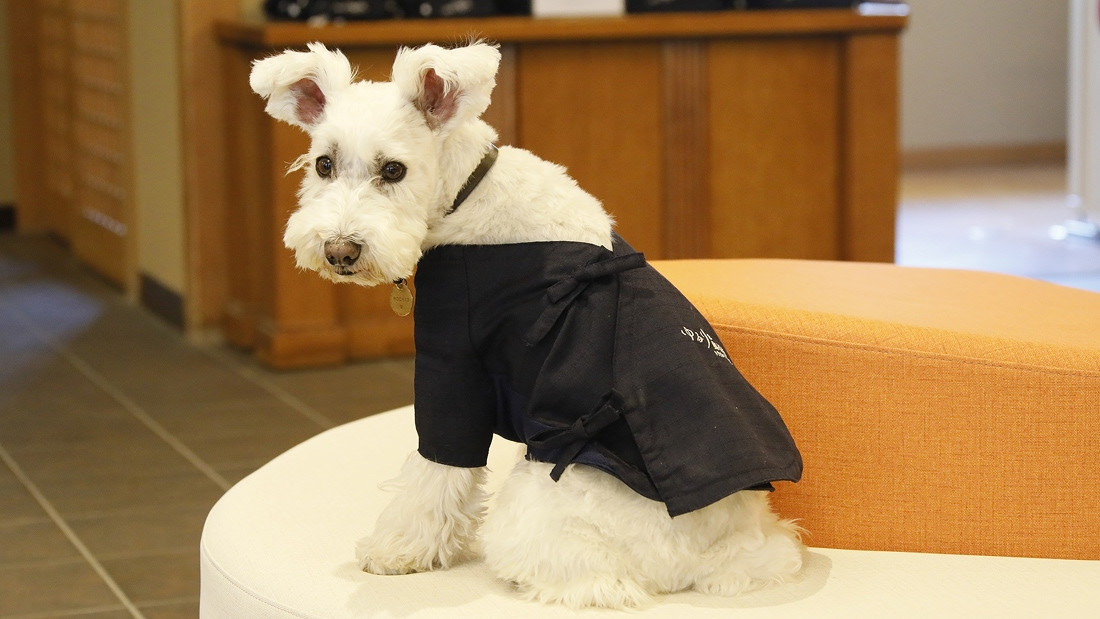 ゆるり奥日光withDOGS