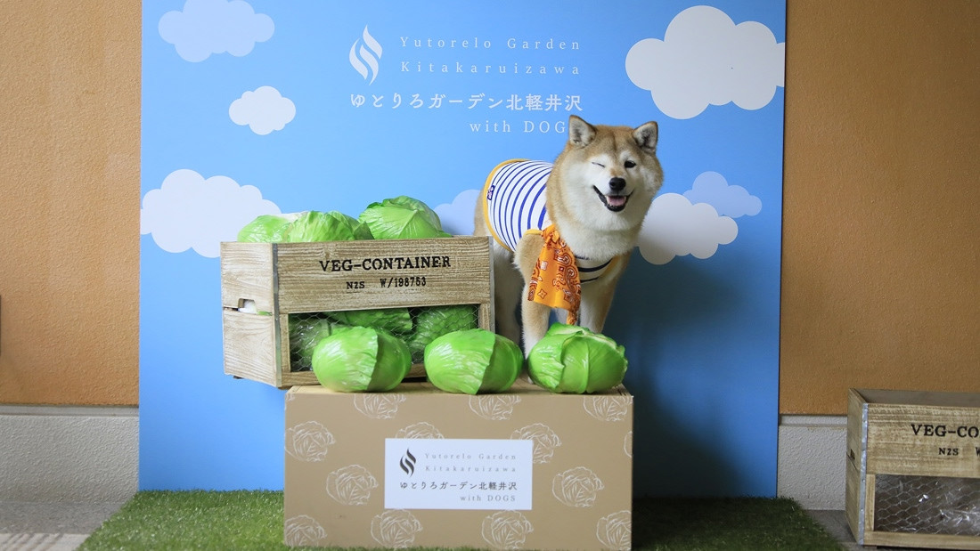 ゆとりろガーデン北軽井沢