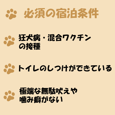 必須情報
