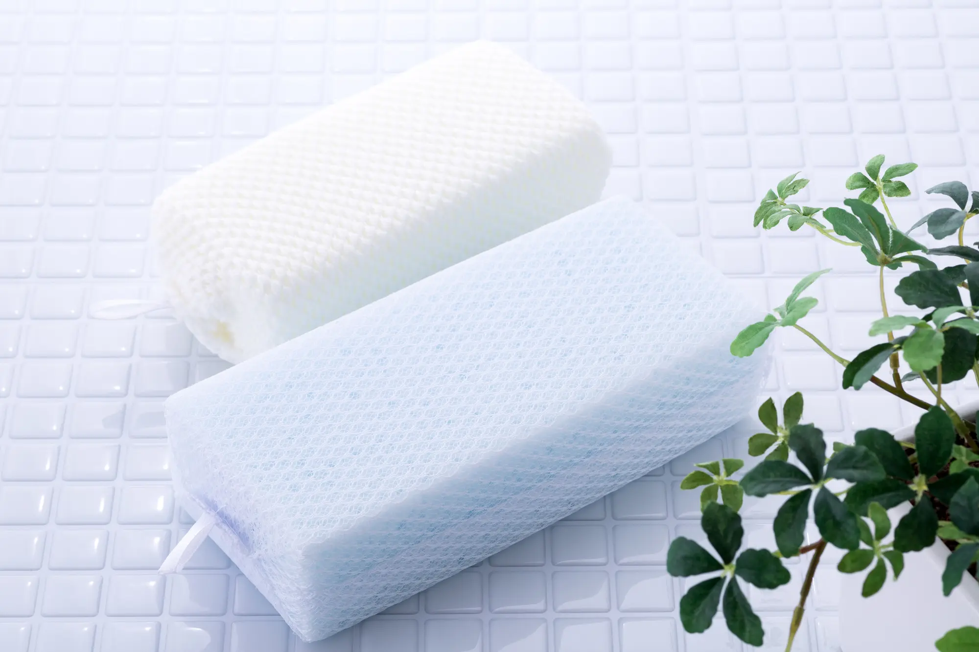 浴室掃除のスポンジ