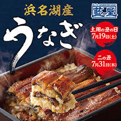 世良公則　FC会報　90年代 世良公則 FC会報 90年代